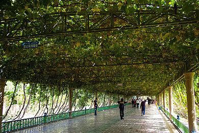 《火星孤征》14分钟实机 明年2月2日发售